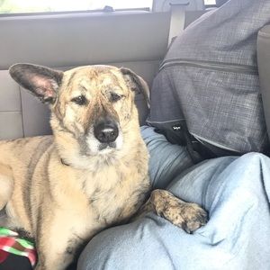 Meet your Posher, Andrea